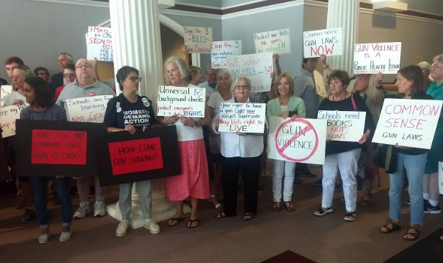 Sign wavers protest Sununu vetoes on gun control